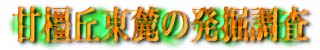 甘橿丘東麓の発掘調査